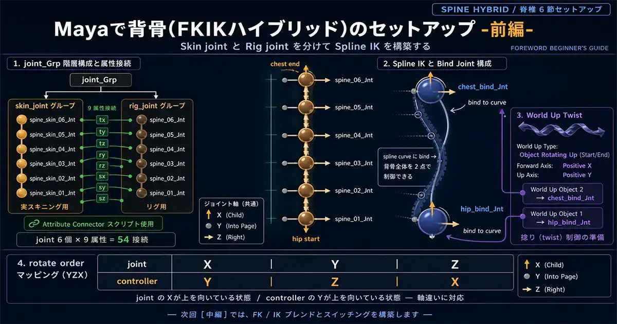 Mayaで背骨(FKIKハイブリッド)のセットアップ -前編-