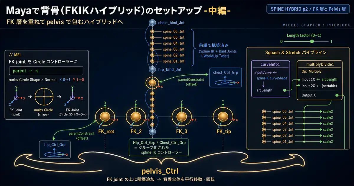 Mayaで背骨(FKIKハイブリッド)のセットアップ  -中編-