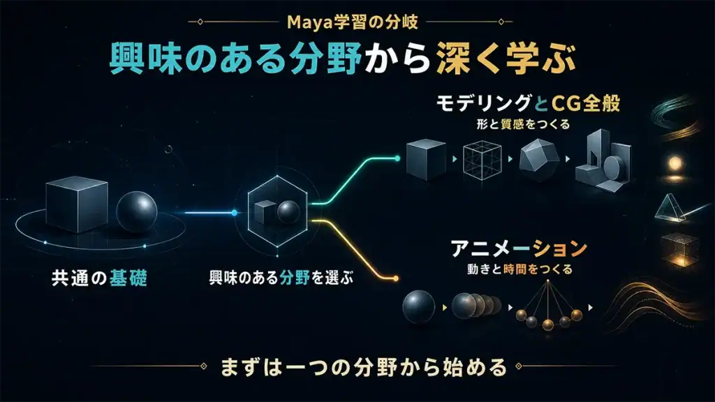 Mayaの共通基礎からモデリングとアニメーションの興味がある分野へ分かれる学習経路
